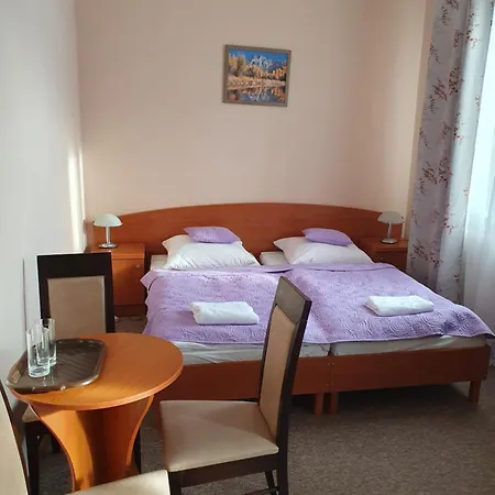 I Pokoje Henryk 3* Krynica-Zdrój